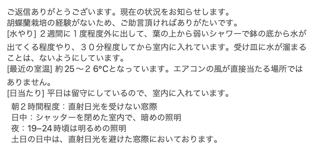 Re: 急に葉が枯れてきました